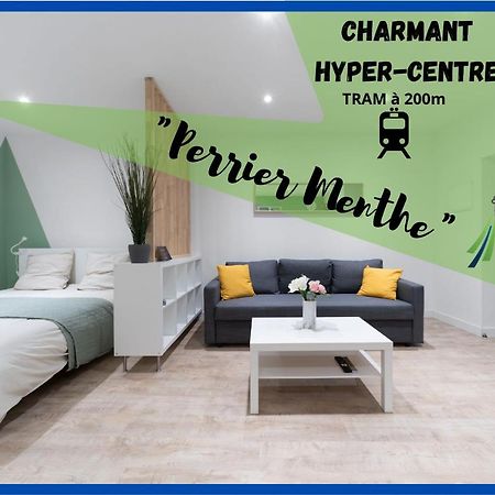 Apartmán ※Perrier Menthe※ Hyper-Centre Et Tranquillite Clermont-Ferrand Exteriér fotografie